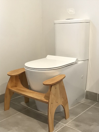 Will it fit? | Lillipad Squatting Toilet Platform